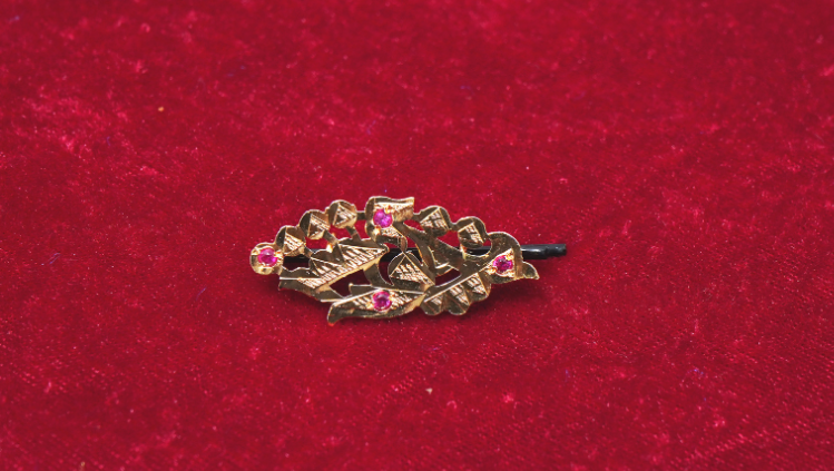 shabbo gold tone silver hair pin